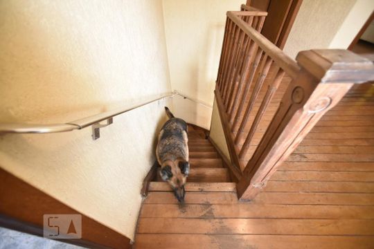Escada de casa à venda com 5 quartos, 140m² em Mooca, São Paulo