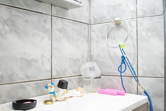 Banheiro de apartamento para alugar com 3 quartos, 60m² em Vila Nova, Porto Alegre