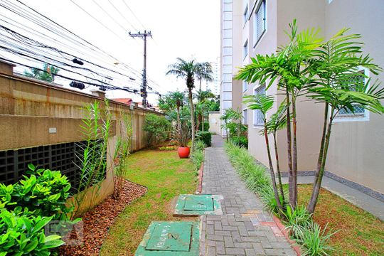 Área Comum de apartamento para alugar com 2 quartos, 50m² em Vila Homero Thon, Santo André