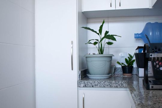 Área de Serviço de apartamento à venda com 3 quartos, 95m² em Tristeza, Porto Alegre