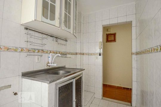 Cozinha - Armários de apartamento para alugar com 1 quarto, 40m² em Portuguesa, Rio de Janeiro