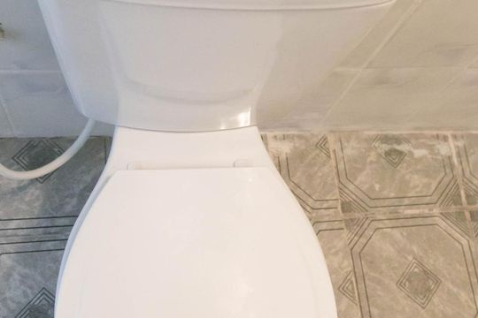 Banheiro de casa para alugar com 2 quartos, 55m² em Vila Carmosina, São Paulo