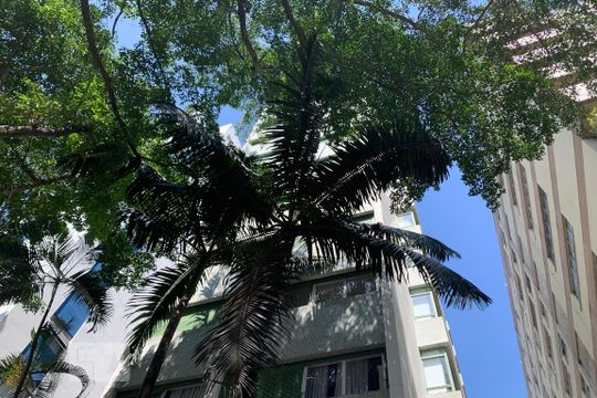 Fachada do Prédio de apartamento para alugar com 2 quartos, 175m² em Santa Cecília, São Paulo