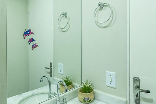 Lavabo de apartamento para alugar com 2 quartos, 58m² em Vila Satúrnia, Campinas