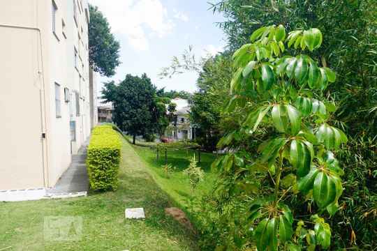 Área comum de apartamento à venda com 2 quartos, 48m² em Vila Sílvia, São Paulo