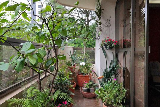 Varanda de apartamento para alugar com 3 quartos, 290m² em Santa Cecilia, São Paulo