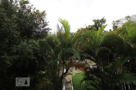 Vista de apartamento para alugar com 2 quartos, 52m² em Jardim Iracema, São Paulo