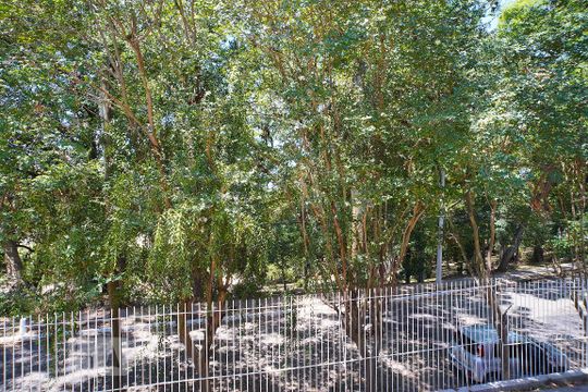 Quarto 2 - Vista de casa à venda com 3 quartos, 150m² em Passo da Areia, Porto Alegre