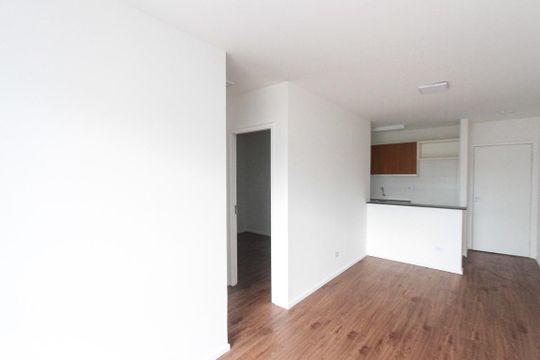 Sala de apartamento para alugar com 2 quartos, 50m² em Jardim Vila Formosa, São Paulo