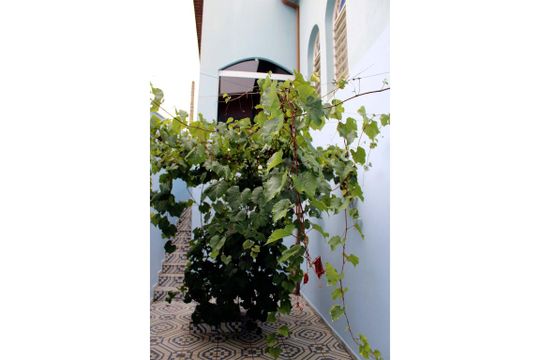 Corredor externo 2 de casa à venda com 3 quartos, 216m² em Jardim Proença I, Campinas