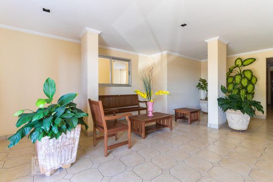 Área comum - Hall social de apartamento para alugar com 3 quartos, 68m² em Mansões Santo Antônio, Campinas