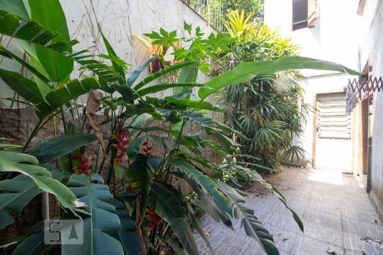 Jardim de Inverno de casa à venda com 3 quartos, 380m² em Vila Jardim, Porto Alegre