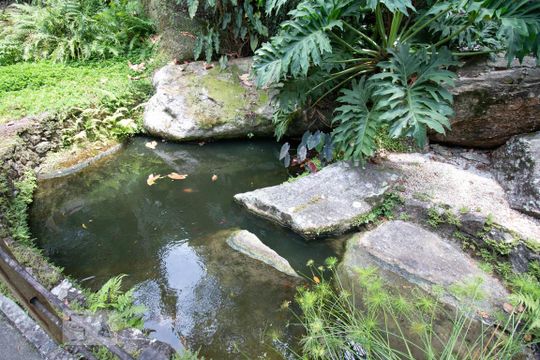 Area comum lago de carpas de casa de condomínio à venda com 4 quartos, 256m² em São Francisco, Niterói