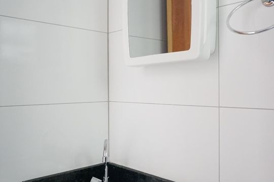 Banheiro de apartamento para alugar com 2 quartos, 41m² em Parque Boturussu, São Paulo