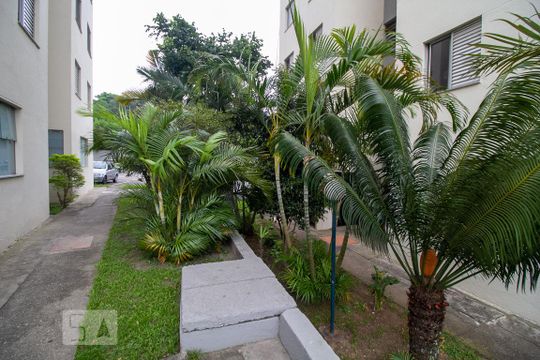 Área comum de apartamento para alugar com 2 quartos, 65m² em Vila Formosa, São Paulo