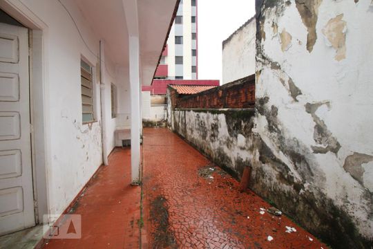 Quintal  de casa à venda com 5 quartos, 220m² em Botafogo, Campinas