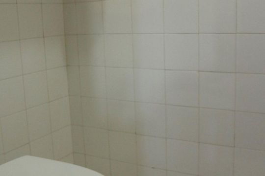 Banheiro de Serviço de apartamento para alugar com 2 quartos, 72m² em Méier, Rio de Janeiro
