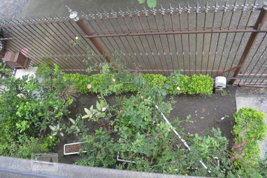 Vista do jardim do pédio de apartamento para alugar com 3 quartos, 140m² em Jardim Carioca, Rio de Janeiro