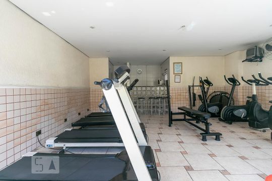 Área comum - Academia de apartamento para alugar com 3 quartos, 80m² em Vila Matilde, São Paulo