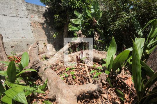 Quintal do fundo de casa à venda com 3 quartos, 303m² em Vila Formosa, São Paulo