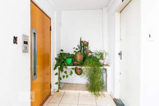 Hall de Entrada de apartamento para alugar com 3 quartos, 80m² em Brás, São Paulo