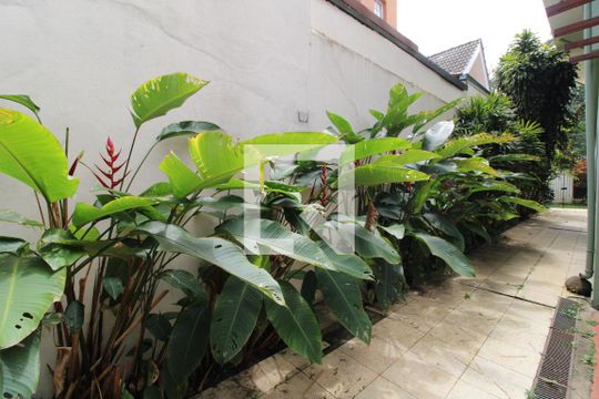 Quintal lateral de casa para alugar com 5 quartos, 300m² em Jardim Marajoara, São Paulo