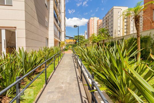 Entrada  de apartamento para alugar com 2 quartos, 73m² em Cambuci, São Paulo