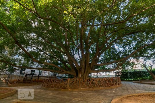 Área comum de apartamento para alugar com 2 quartos, 64m² em Picanço, Guarulhos