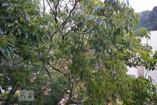 Sala -Vista  de apartamento à venda com 1 quarto, 42m² em Jardim Itu, Porto Alegre