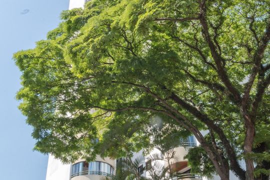 Fachada de apartamento à venda com 5 quartos, 460m² em Brooklin, São Paulo