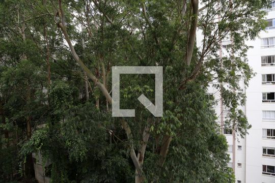Vista da Suíte de apartamento à venda com 3 quartos, 82m² em Vila Andrade, São Paulo
