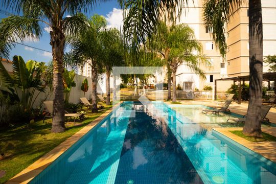Área comum - Piscina de apartamento para alugar com 2 quartos, 60m² em Residencial Parque da Fazenda, Campinas