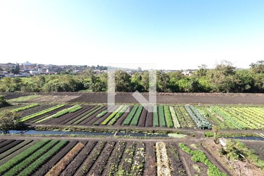 Vista da Sala de apartamento para alugar com 2 quartos, 39m² em Vila Nova Bonsucesso, Guarulhos