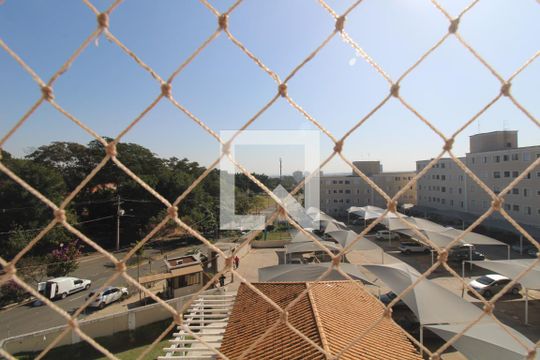 Vista da Sala de apartamento para alugar com 2 quartos, 46m² em Vila Trinta e Um de Março, Campinas