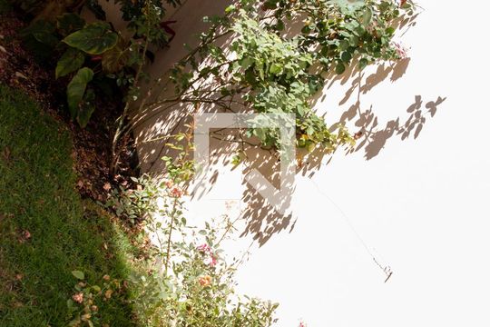 Jardim de casa de condomínio à venda com 2 quartos, 90m² em Vila Mazzei, São Paulo