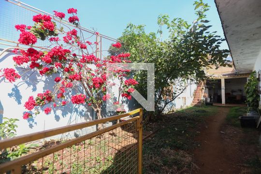 Quintal de casa à venda com 2 quartos, 110m² em Vila Ipojuca, São Paulo