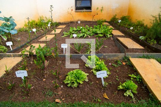 Área Comum - Horta de apartamento à venda com 3 quartos, 80m² em Chácara Inglesa, São Paulo