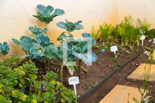 Área Comum - Horta de apartamento à venda com 3 quartos, 80m² em Chácara Inglesa, São Paulo