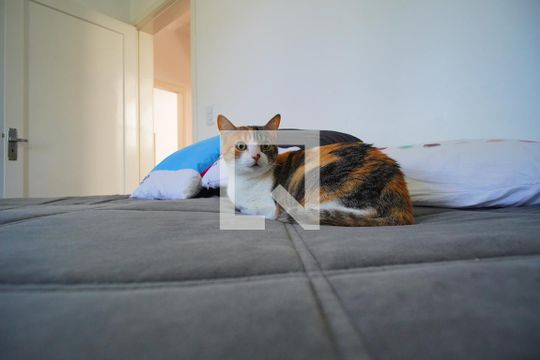 Quarto 1_Dono do ap de apartamento à venda com 3 quartos, 90m² em São Geraldo, Porto Alegre