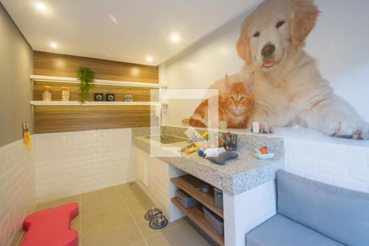 Espaço Pet de apartamento para alugar com 1 quarto, 31m² em Vila das Belezas, São Paulo