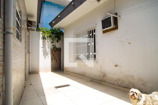 Área de Serviço de casa para alugar com 3 quartos, 200m² em Vila Paulista, São Paulo