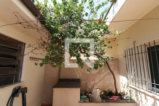 Jardim de casa para alugar com 3 quartos, 184m² em Perdizes, São Paulo