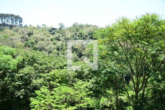 Vista do Quarto 2 de apartamento para alugar com 2 quartos, 48m² em Jardim Petrópolis, Cotia