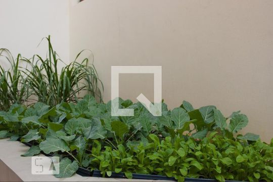 Área comum de apartamento à venda com 3 quartos, 115m² em Jardim Oriental, São Paulo