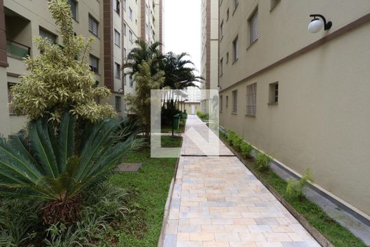 Área Comum de apartamento para alugar com 2 quartos, 47m² em Jardim Santa Teresinha, São Paulo