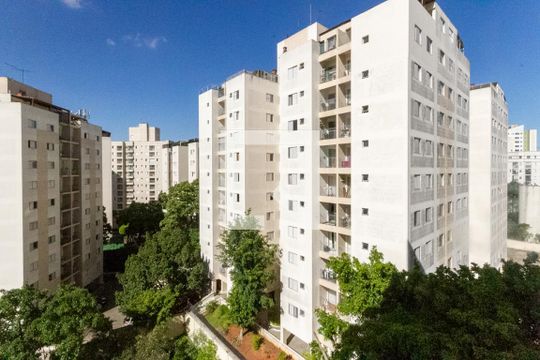 Vista de apartamento para alugar com 3 quartos, 65m² em Vila Ivone, São Paulo