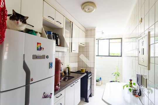 Cozinha de apartamento à venda com 2 quartos, 54m² em Vila Santa Catarina, São Paulo