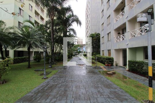 Área comum de apartamento para alugar com 3 quartos, 64m² em Quinta da Paineira, São Paulo