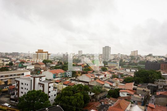 Vista da Cozinha de apartamento para alugar com 1 quarto, 30m² em Vila Granada, São Paulo