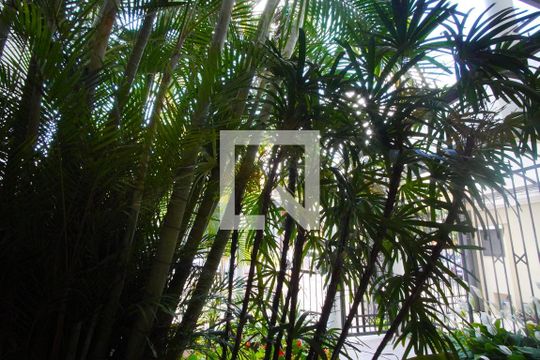 Sala_  Vista  de casa à venda com 3 quartos, 200m² em São João, Porto Alegre